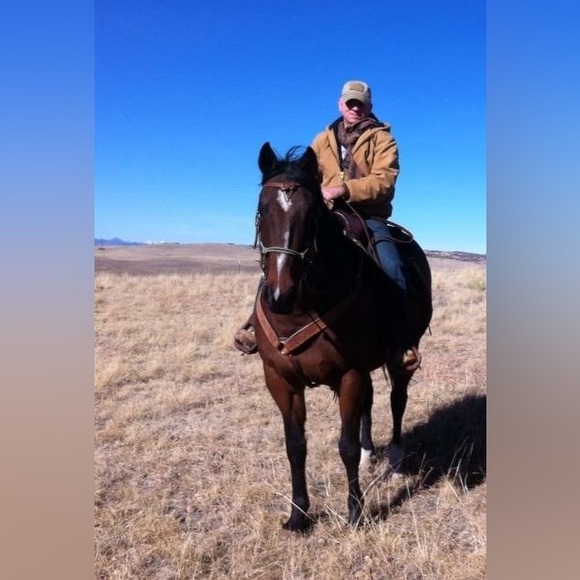 Meet your Posher, Russ - Picture 2 of 2